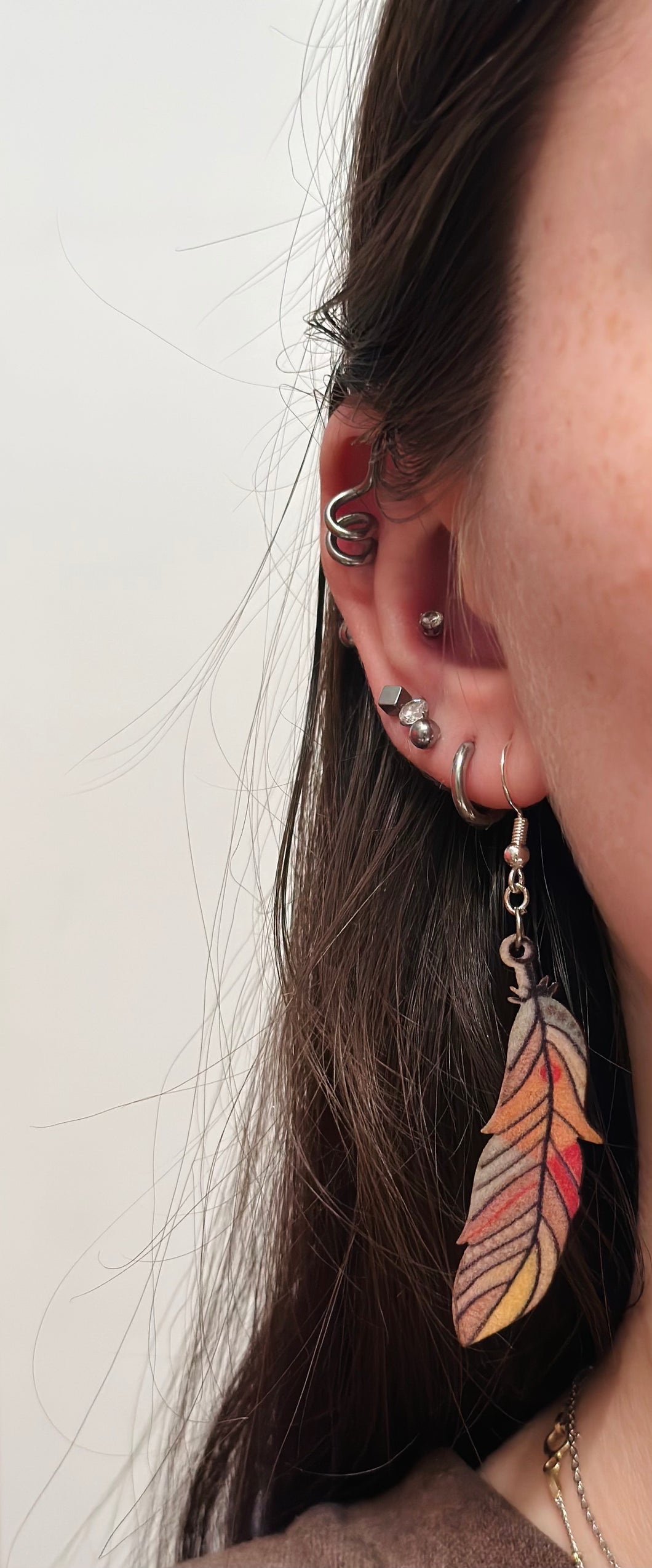 Multicolor Feather Earrings